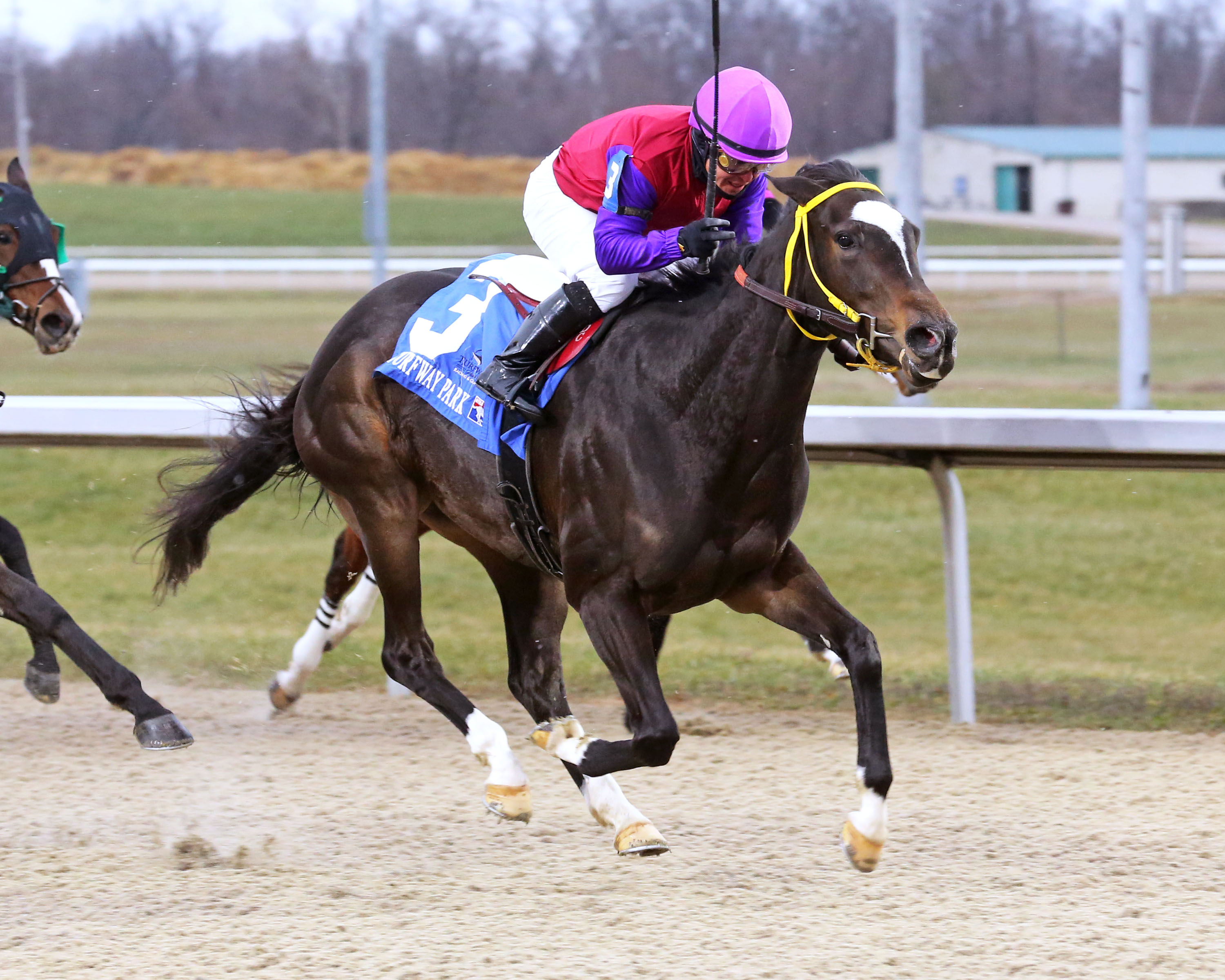 Turfway Park: Live Horse Racing Schedule, Track Events, &amp; News